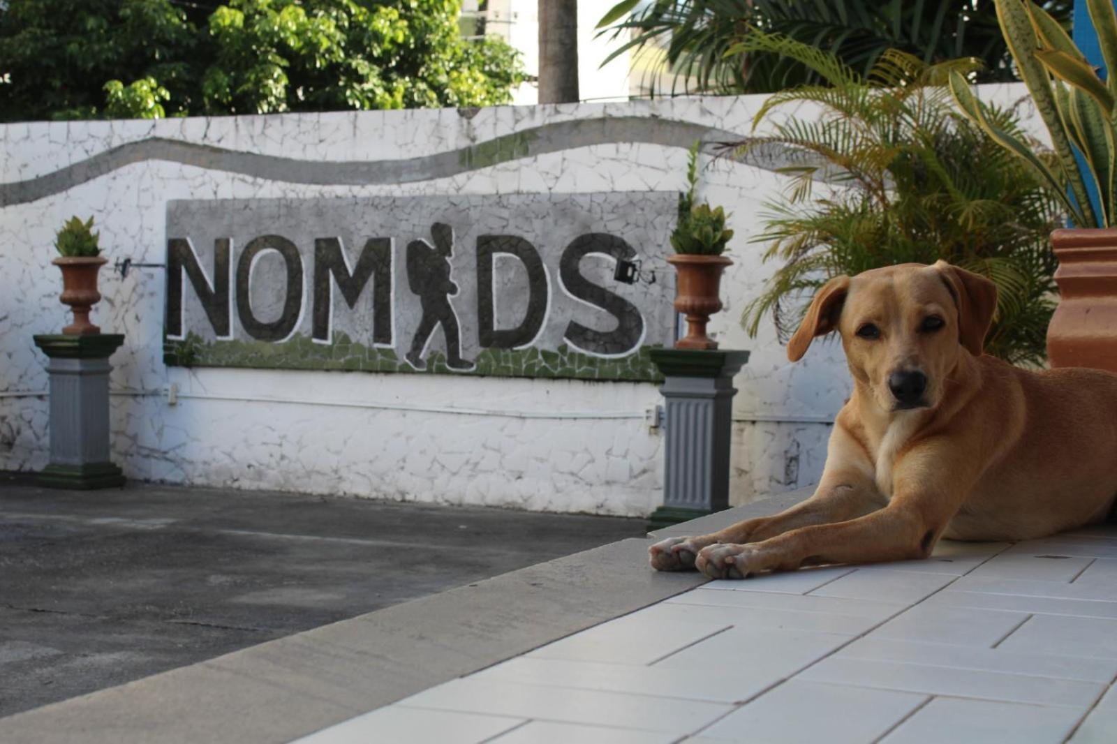 Nomads Hostel Multicultural & Coworking Салвадор Екстер'єр фото